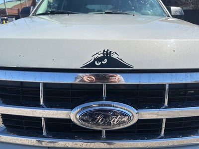 2009 Ford Escape XLT