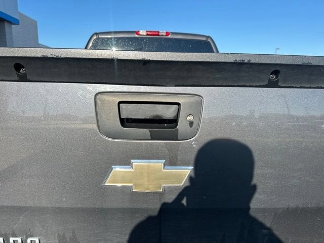 2010 Chevrolet Silverado 1500 LS