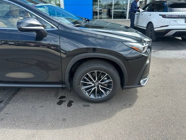 2025 Lexus NX 350h NX 350h